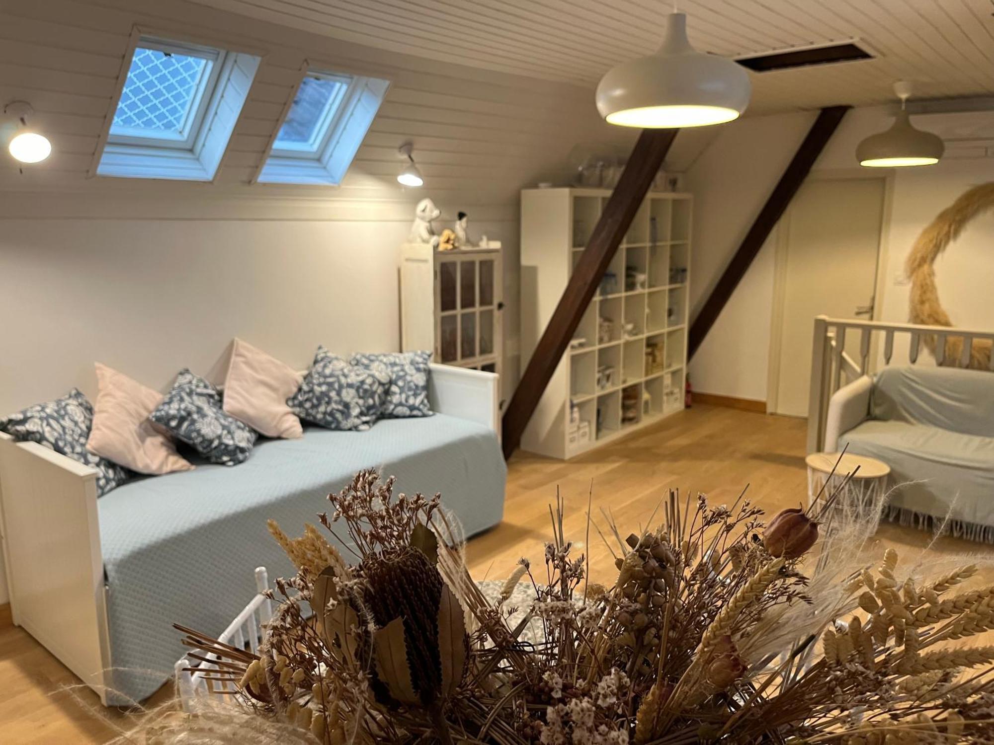 Etage Entier Prive, 45M2 Chez Regine Villa Schiltigheim Eksteriør bilde